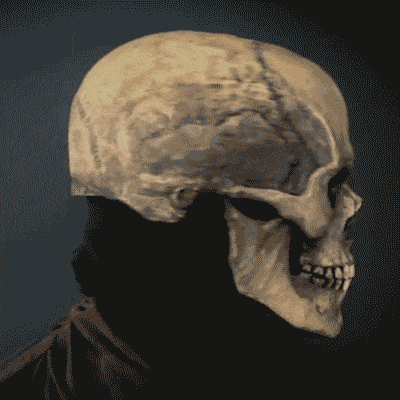 Halloween Skeleton Mask - Image 6