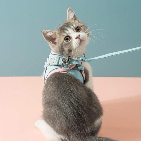 Cat Vest Harness Leash Set - Image 3