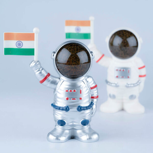 Solar Powered Astronaut with Flag