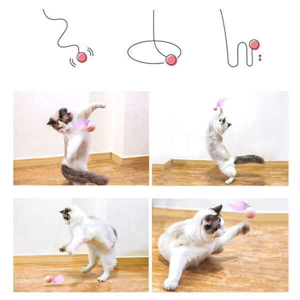 Cat Retractable Stick Feather Toy - Image 4