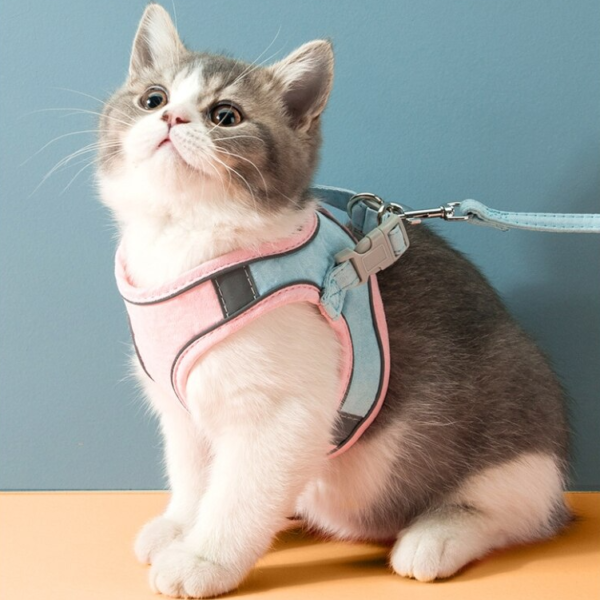 Cat Vest Harness Leash Set - Image 2