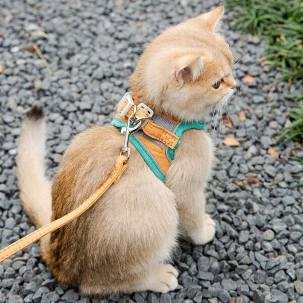 Cat Vest Harness Leash Set - Image 8